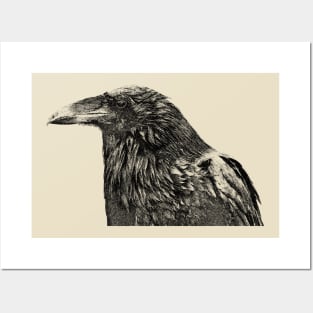 Crow Posters and Art